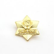 中華保險徽章,平安保險業務精英徽章