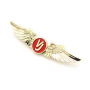 翅膀徽章定制,蝴蝶扣徽章定做,企業LOGO徽章定做