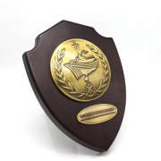 獎盤定制,獎牌定做,部隊紀念盤定制